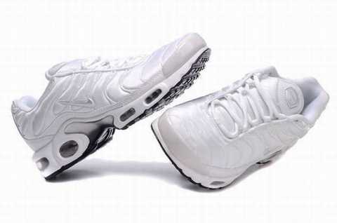 tn requin 2011